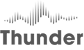 Thunder logo